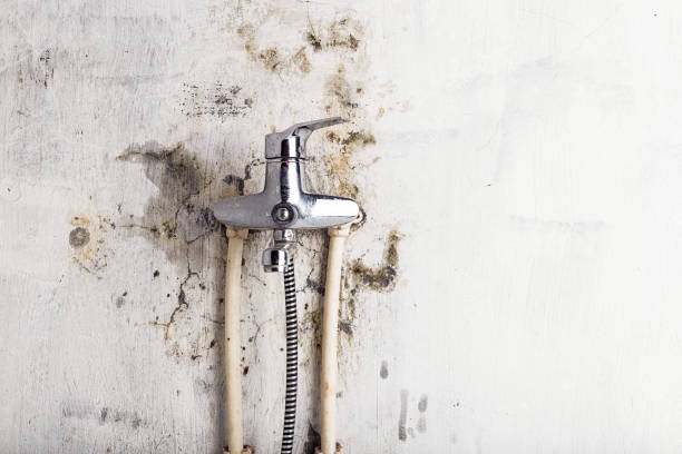 Best Water Damage Restoration  in East Liverpool, OH
