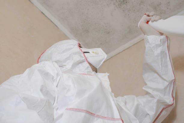 Water Damage Restoration in East Liverpool, OH